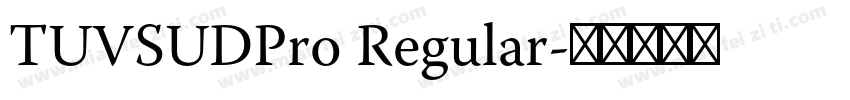 TUVSUDPro Regular字体转换